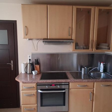Apartament Czarny Potok Krynica Zdroj Exterior photo